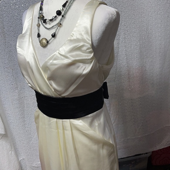 Appropriate Behavior prom dress size 11/12 - Picture 8 of 14